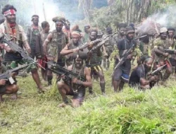 Rakyat Papua Dijadikan Tameng Hidup oleh OPM, Ancaman Kemanusiaan Meningkat