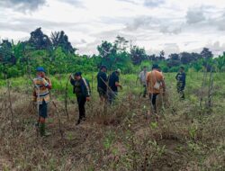 Anak Muda Arso 11 Siap Berkontribusi! Bertani Sayur Demi Gizi Anak Papua