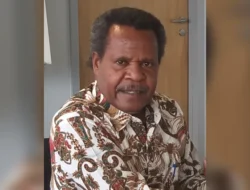Pegiat HAM di Papua Khawatir Nasib Guru dan Nakes Jadi Target OPM