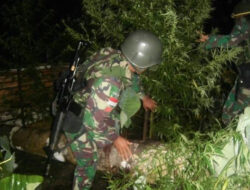 Satgas Yonif 512/QY Berhasil Bongkar Gubuk Persembunyian OPM dan Ladang Ganja 5.000 M² di Pegunungan Bintang