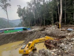 Masyarakat Adat Papua Desak Penutupan Tambang Ilegal demi Kelestarian Lingkungan dan Hak Tanah Ulayat