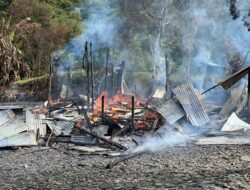 Rumah di Puncak Jaya Papua Dibakar, Satgas TNI-Polri Selidiki Kasus