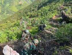 Satgas Yonif 715 Giatkan Program Ketahanan Pangan di Lereng-Lereng Papua, Bantu Warga di Daerah Penugasan
