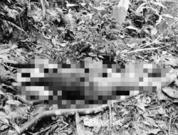 OPM Beraksi Brutal! 11 Pekerja Tambang Emas di Yahukimo Tewas Dibantai