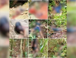 OPM Bantah Terlibat Pembunuhan 11 Penambang di Yahukimo, Klaim Ini Provokasi