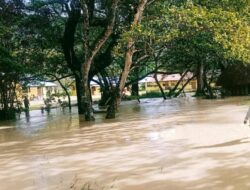 Kemensos Salurkan Bantuan Darurat untuk Korban Bencana di Wamena