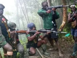 Anggota OPM Pimpinan Zeth Fatem Kembali ke NKRI, Buktikan Komitmen Damai di Papua