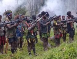 KKB Diduga Rekrut Paksa Pelajar Papua: Ancaman bagi Masa Depan Pendidikan