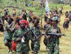 Pergerakan KKB di Papua Semakin Terjepit Setelah Temuan Persembunyian