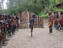 Babak Baru di Papua: Pimpinan OPM Tewas, Anggota Beramai-Ramai Kembali ke Masyarakat
