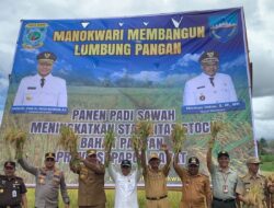 Pemprov Papua Genjot Produktivitas Pertanian untuk Ketahanan Pangan