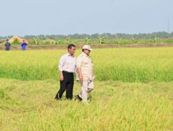 Suku Marind Dukung Penuh Program PSN 1 Juta Hektar Lahan Padi di Wanam