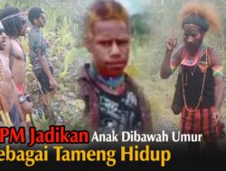 OPM Jadikan Anak-Anak Di Bawah Umur Sebagai Tameng Hidup