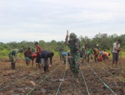 Pemerintah Percepat Realisasi Ketahanan Pangan di Tanah Papua