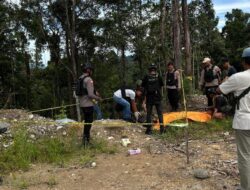 Penodongan Marak di Jalan Trans Papua, Pengemudi Resah Akibat Teror OPM