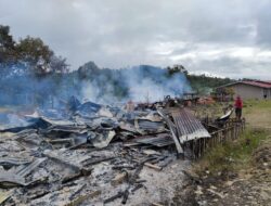 KKB Kerap Bakar dan Serang Fasilitas Kesehatan, Ganggu Layanan Publik di Papua