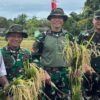 Pangkoops Habema Tegaskan Komitmen TNI Dukung Swasembada Pangan