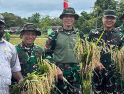 Pangkoops Habema Tegaskan Komitmen TNI Dukung Swasembada Pangan