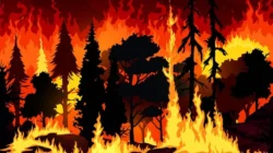 OPM Beraksi Brutal: Bakar dan Hancurkan Kebun Warga di Papua Pegunungan