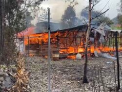 Satgas Damai Cartenz Buru Pelaku KKB Pembakar Kantor Distrik & Rumah Bupati Puncak