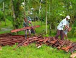 Babinsa Biak Kota Bantu Warga Bangun Kandang Ternak dengan Gotong Royong
