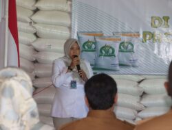 Pemprov Papua Selatan-Pemkab Merauke Distribusikan Bantuan Beras untuk Tahun 2025