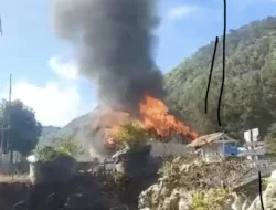 Papua Terancam: OPM Kian Brutal dengan Aksi Kekerasannya