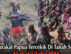 Rakyat Papua Terjebak dalam Derita: OPM Sebabkan Trauma dan Ketakutan