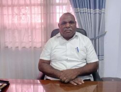 Pemprov Papua Selatan Prioritaskan Rekrutmen Dokter dan Guru SLB