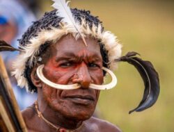 Kritik Tajam untuk OPM: “Retorika Sejarah Cuma Kedok untuk Kekerasan”