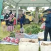 Inovasi Dinas Ketahanan Pangan: ‘Kios Pangan’ untuk Dongkrak Produktivitas Petani Papua