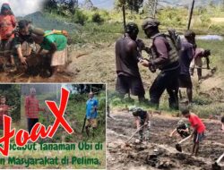 Satgas TNI Dukung Warga Kampung Pelima dari Tanam hingga Panen