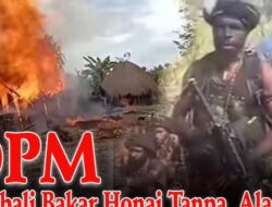 OPM Lanjutkan Kekejaman: Warga Pegunungan Papua Jadi Korban Penyiksaan Brutal