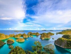 Papua Barat & Papua Barat Daya Berkomitmen Lindungi Kekayaan Alam Papua