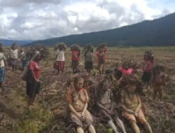 Warga Lanny Jaya Minta Aparat Keamanan Usir OPM dari Tanah Leluhur