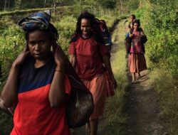 Suara Mama-Mama Papua: “Kami Menentang OPM, Ingin Hidup Tenang Tanpa Teror”