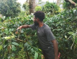 Arnos Urwan: Pemuda Pegunungan Bintang yang Promosikan Kopi Papua ke Dunia