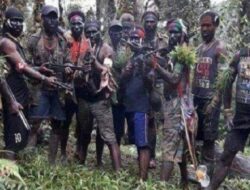 OPM Bunuh Warga Suku Agats Asmat Usai Demo yang Dimanipulasi