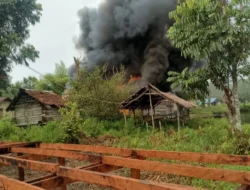 OPM Hancurkan Rumah Warga Papua karena Tolak Beri Bantuan Makanan