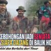 Ketika Kebohongan Jadi Senjata: Siapa Dalang di Balik Hoaks OPM?