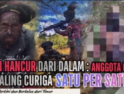 OPM HANCUR DARI DALAM: Anggota OPM Saling Curiga, Satu per Satu Tewas karena Racun dan Konflik Internal