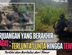 Perjuangan yang Lenyap: Anggota OPM Terlunta-lunta Hingga Tewas