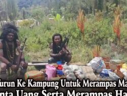 OPM Hidup dari Hasil Rampasan, Warga Papua Jadi Korban