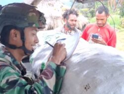Satgas Yonif 408/Sbh Bawa Internet Gratis ke Pedalaman Papua, Warga Tumbupur Kini Terhubung
