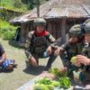 Satgas Yonif 732/Banau Borong Hasil Tani, Bangun Harapan Ekonomi di Perbatasan Papua