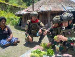 Satgas Yonif 732/Banau Borong Hasil Tani, Bangun Harapan Ekonomi di Perbatasan Papua