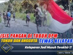 Krisis Logistik Hantam OPM: Tokoh dan Anggota Tewas Kelaparan