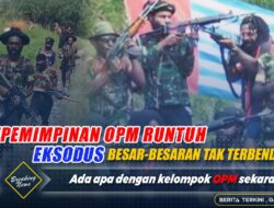 Kekosongan Kepemimpinan di Tubuh OPM Memicu Eksodus Besar-besaran Para Anggotanya