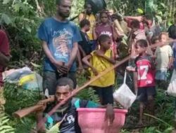 OPM Picu Pengungsian Massal di Kampung Moyeba, Moskona Utara
