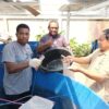 Pemprov Papua Selatan Dukung Peternak Ikan OAP dengan Bantuan Pakan